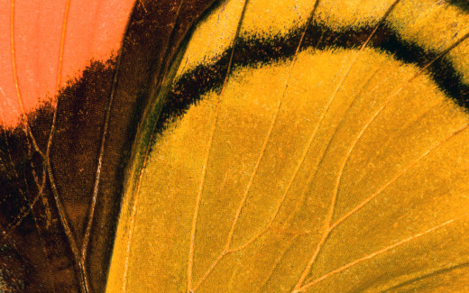 474336 (a): :1920x1200